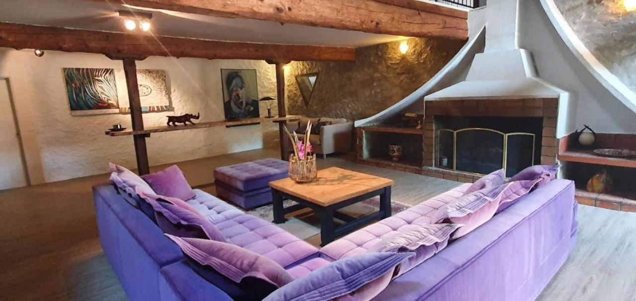 Gite De 420 Metres Carres Dans Chateau L'Ange Au Violon Jusqu'A 13 Couchages Conques-sur-Orbiel Kültér fotó