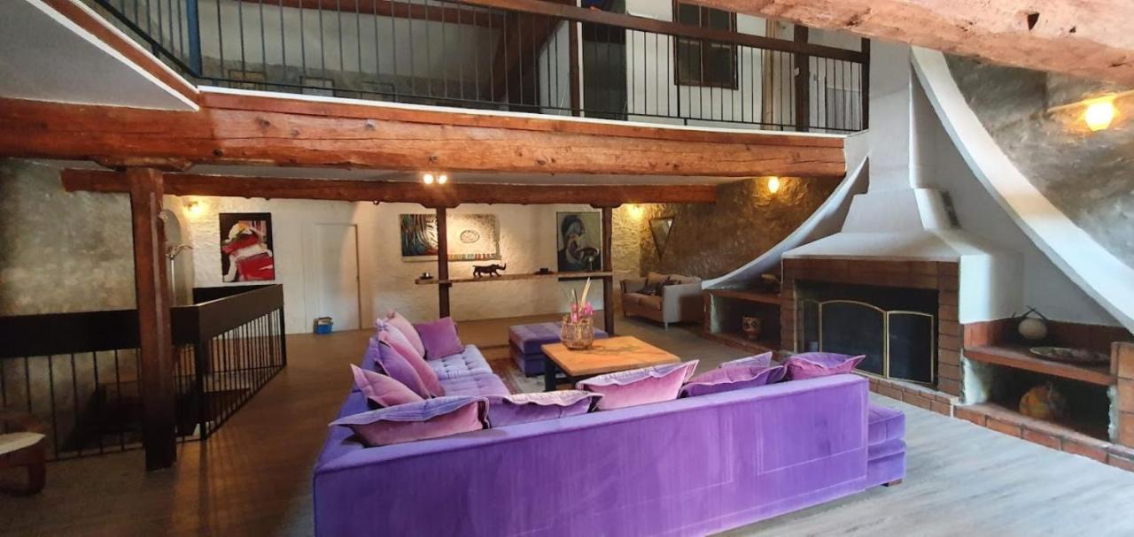 Gite De 420 Metres Carres Dans Chateau L'Ange Au Violon Jusqu'A 13 Couchages Conques-sur-Orbiel Kültér fotó