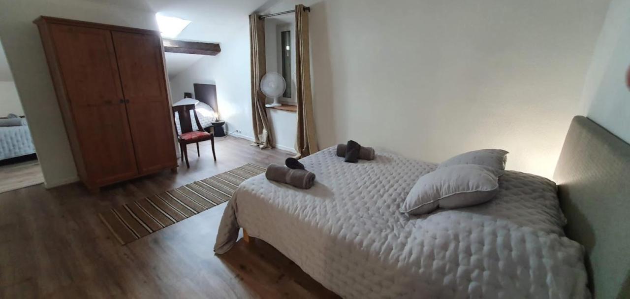 Gite De 420 Metres Carres Dans Chateau L'Ange Au Violon Jusqu'A 13 Couchages Conques-sur-Orbiel Kültér fotó